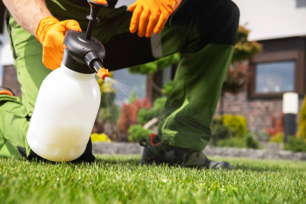Best Pest Control Cost  in Trenton, IL
