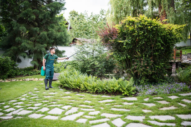 Trusted Trenton, IL Pest Control Experts