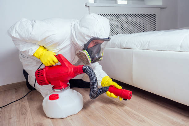 Best Affordable Pest Control Services  in Trenton, IL