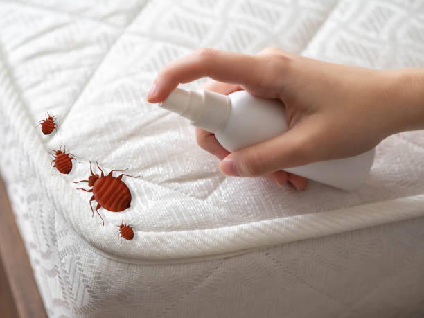 Best Cockroach Control Services  in Trenton, IL