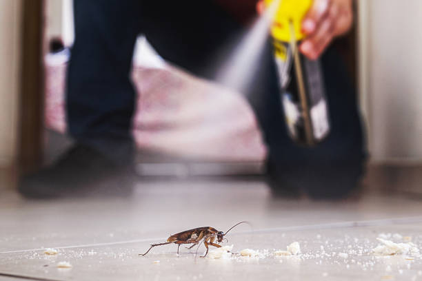 Best Commercial Pest Control Services  in Trenton, IL